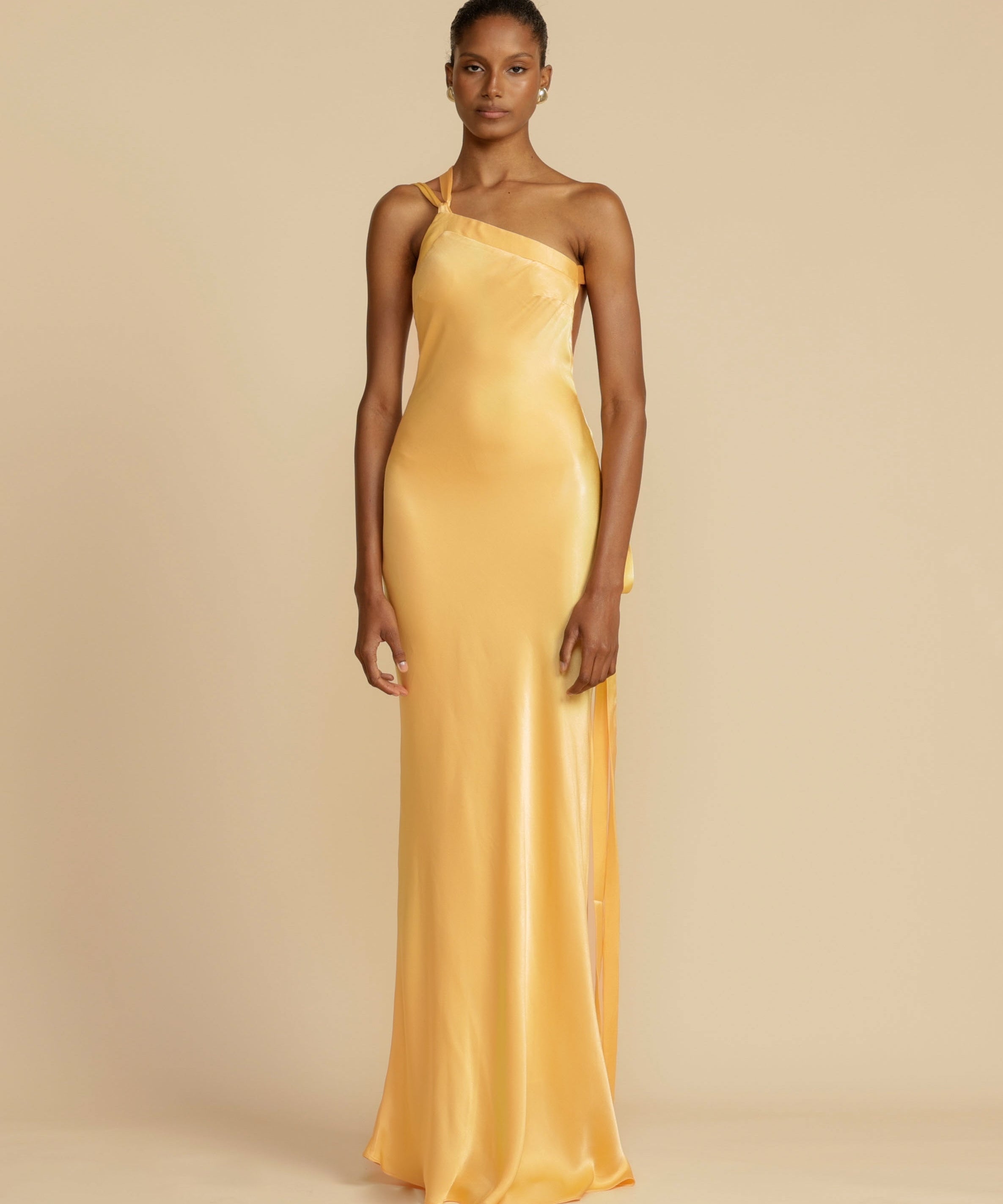 Isabella | Luxurious Long Dress